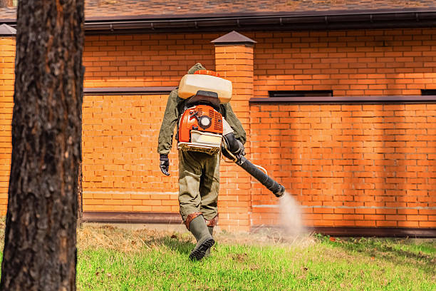 Trusted Fumigation Services service in Elephant Butte, NM - Nex Pest Control